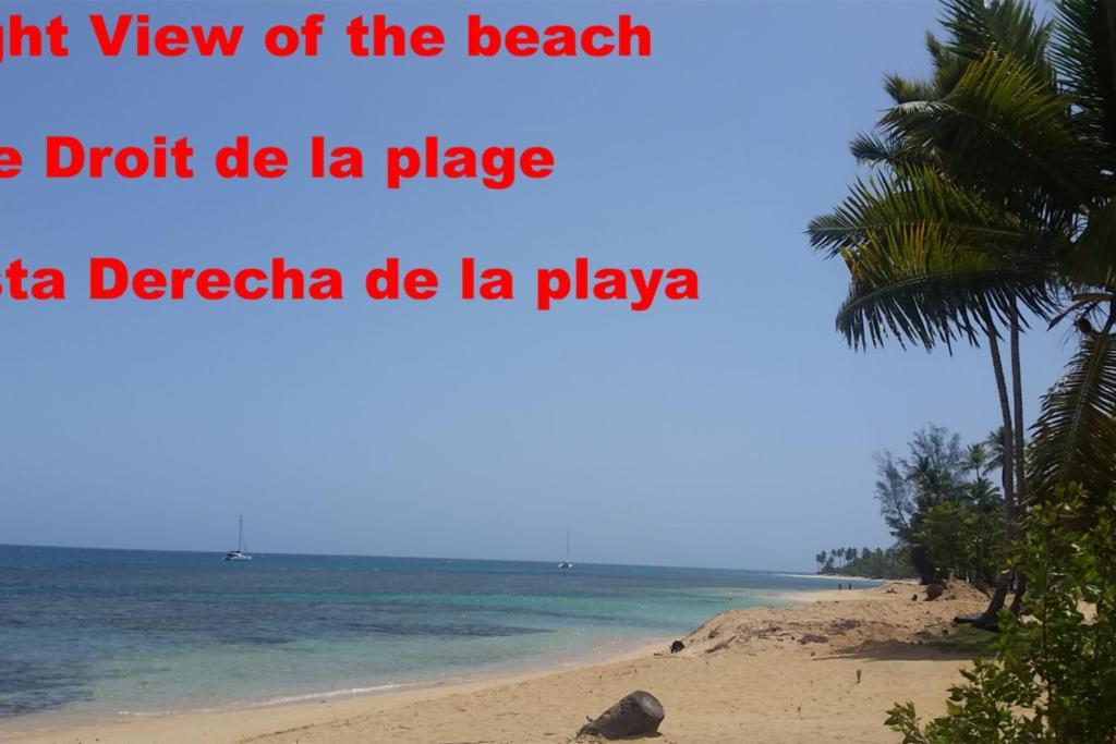 Dream Glamping Jungle Bohio Hotel Las Terrenas Kültér fotó