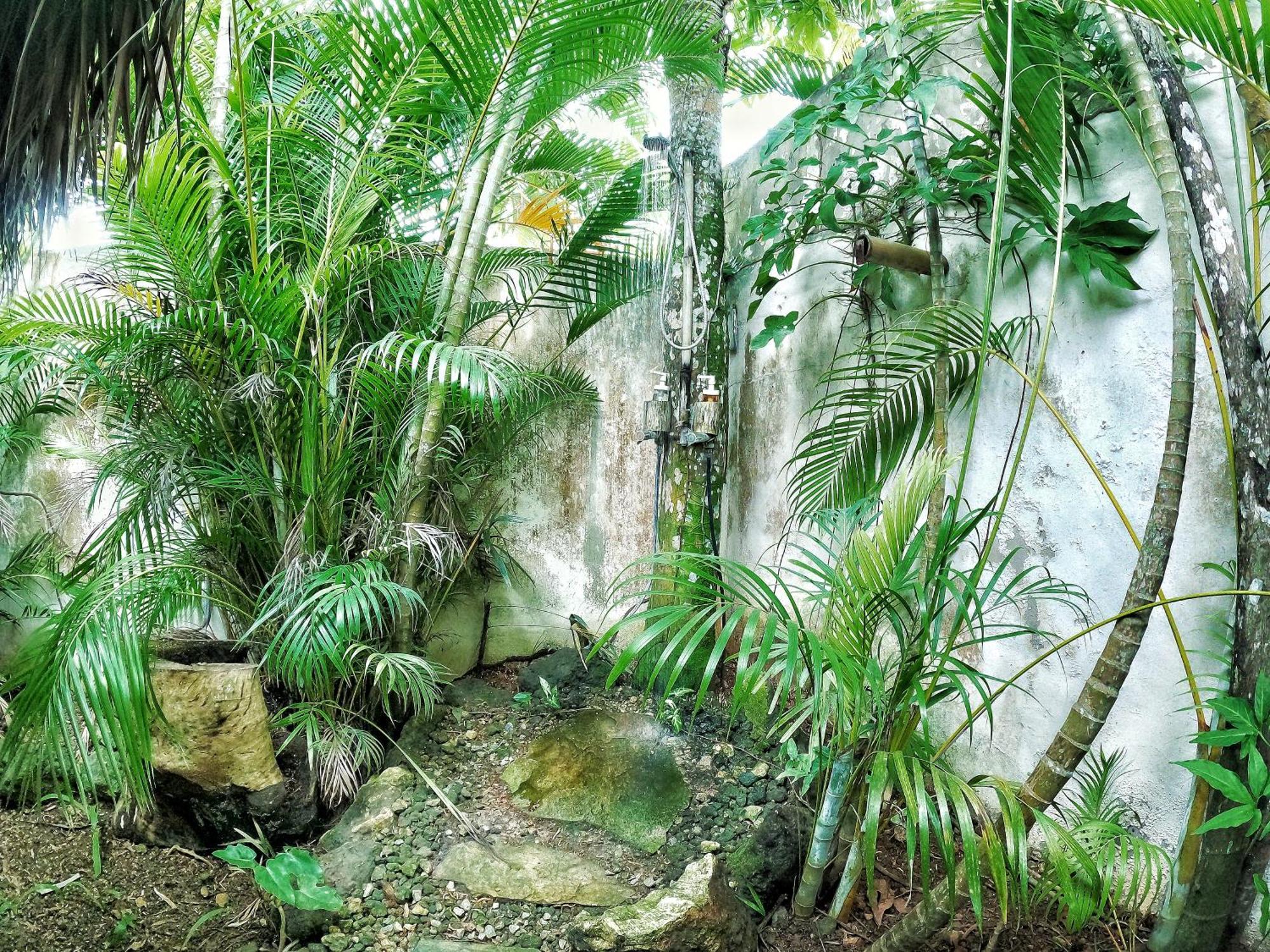 Dream Glamping Jungle Bohio Hotel Las Terrenas Kültér fotó