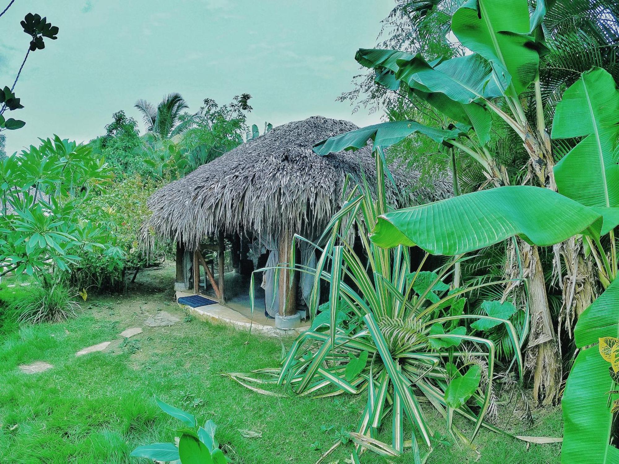 Dream Glamping Jungle Bohio Hotel Las Terrenas Kültér fotó