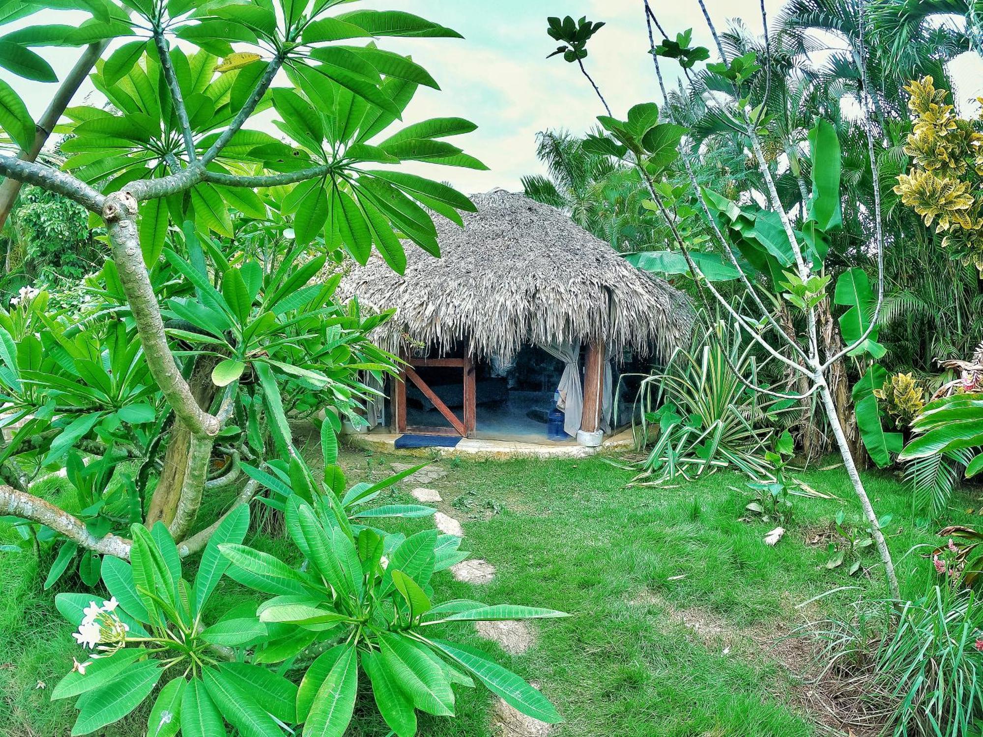 Dream Glamping Jungle Bohio Hotel Las Terrenas Kültér fotó