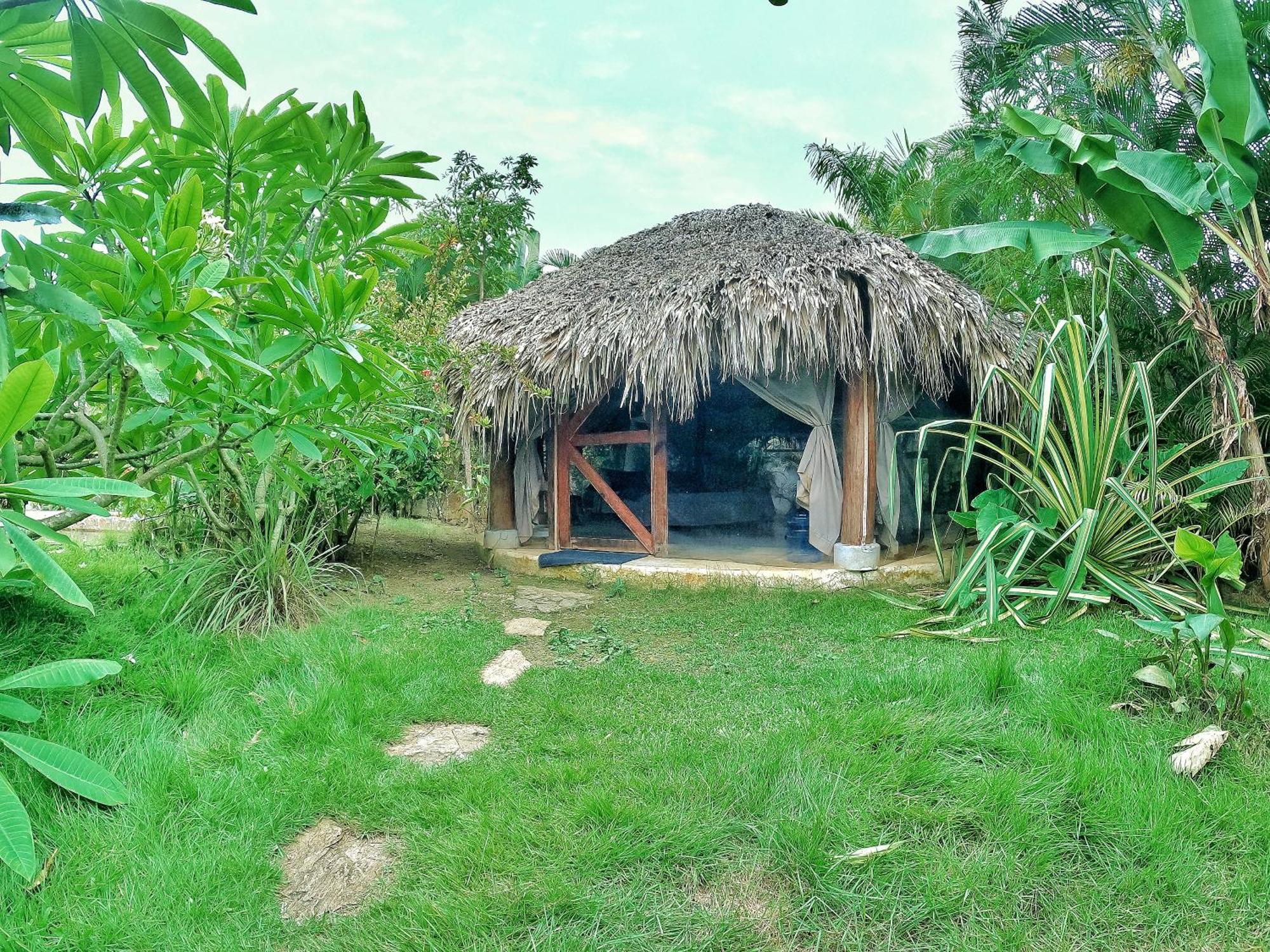Dream Glamping Jungle Bohio Hotel Las Terrenas Kültér fotó